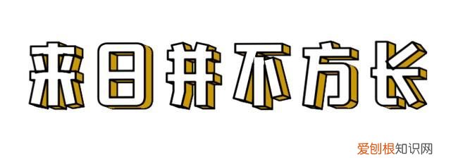 在下不才下一句怎么接,在下不才后一句是什么