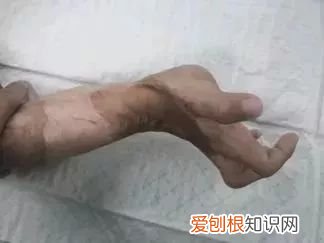 小斌斌
