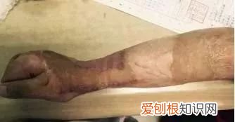 小斌斌