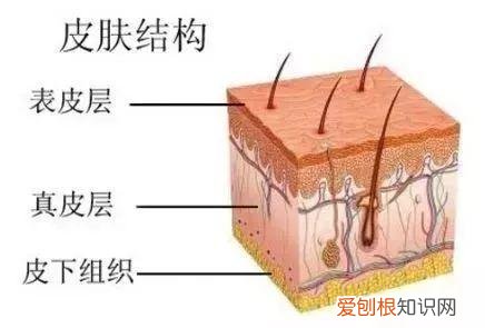 小斌斌