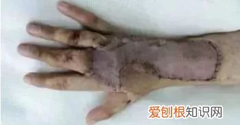 小斌斌