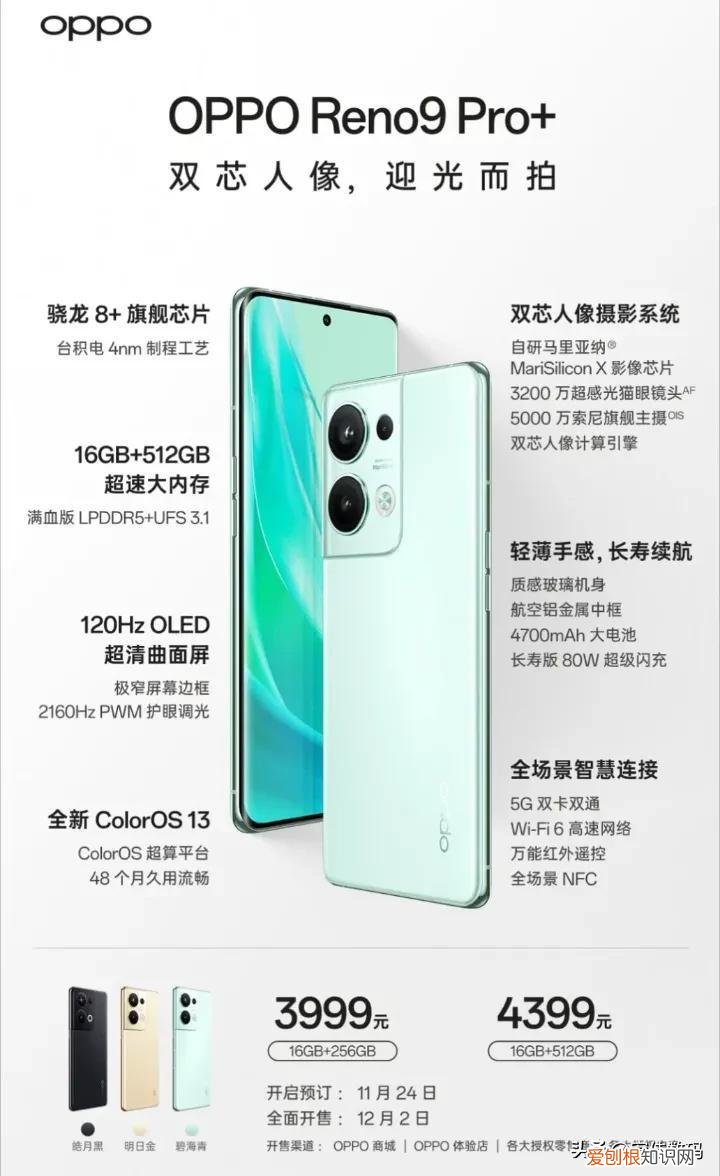 天梯排行榜是什么