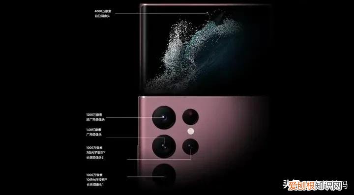 天梯排行榜是什么