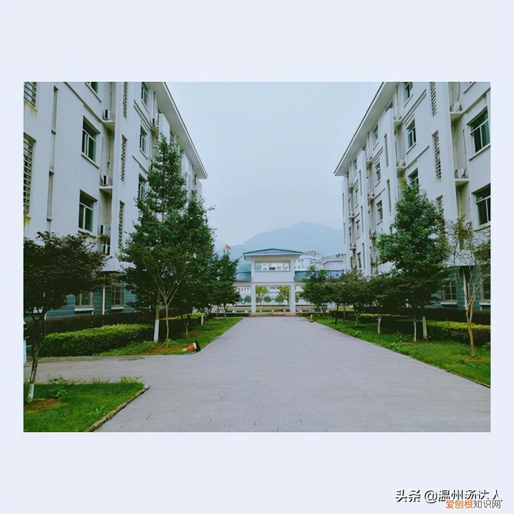 温州第二实验中学好不好