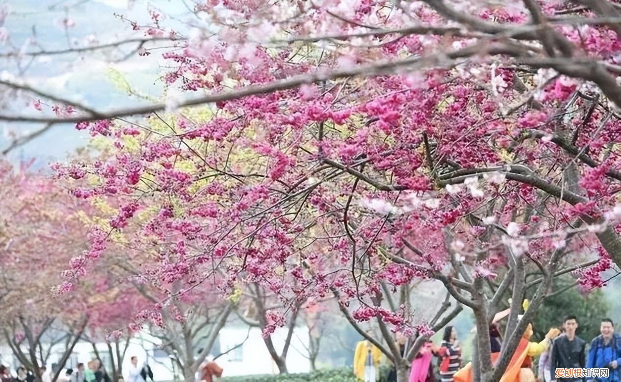 这个季节旅游去哪里好玩
