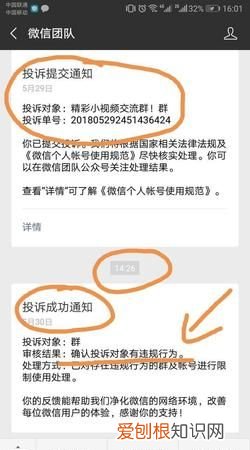 微信举报别人涉黄什么时候才能成功