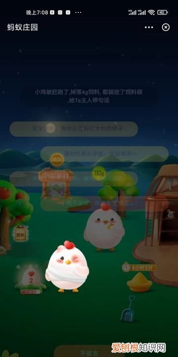 蚂蚁庄园要咋才能揍别人小鸡，蚂蚁庄园怎么揍别人家的小鸡
