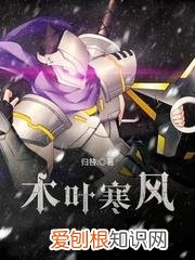 火影之乱世邪剑仙