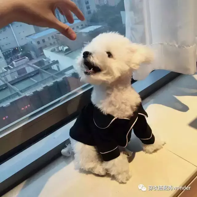 安妮婷婷