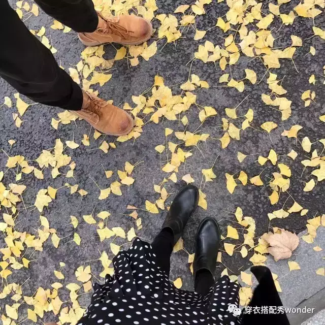 安妮婷婷