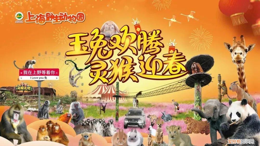 锦江乐园门票