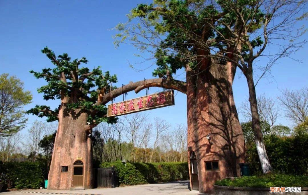 锦江乐园门票