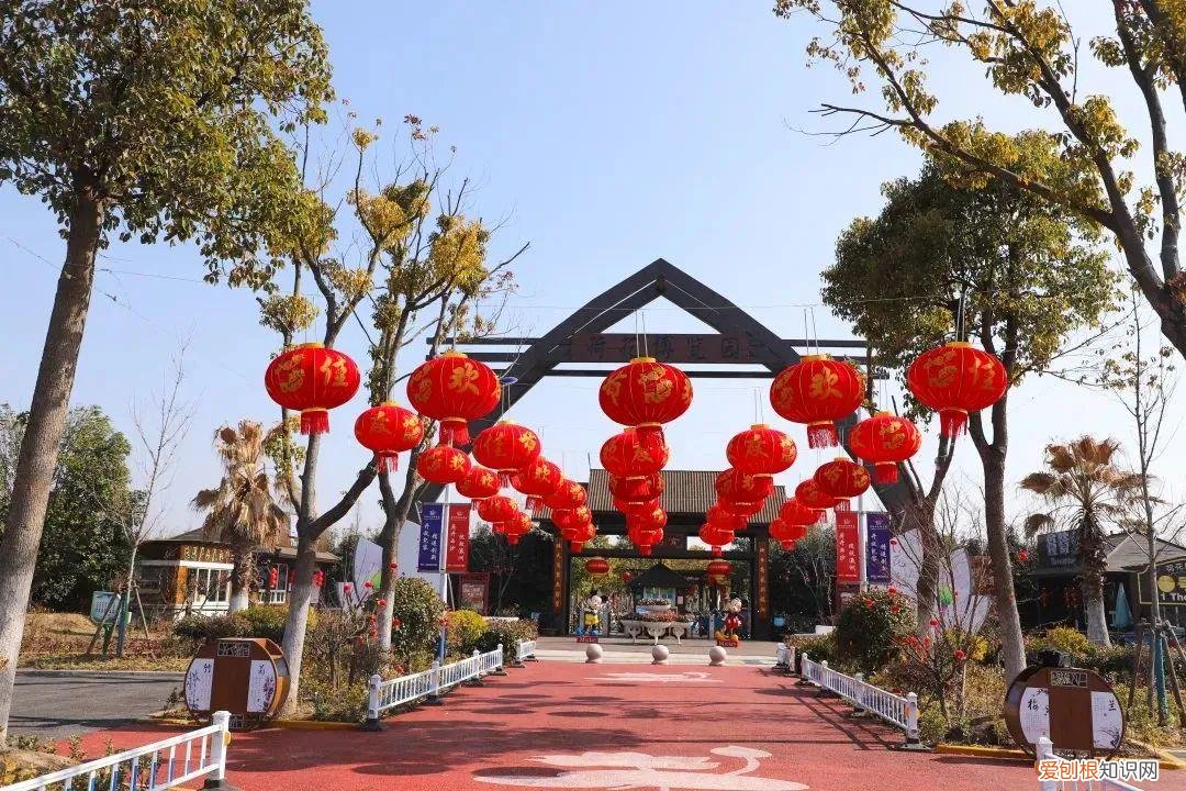 锦江乐园门票