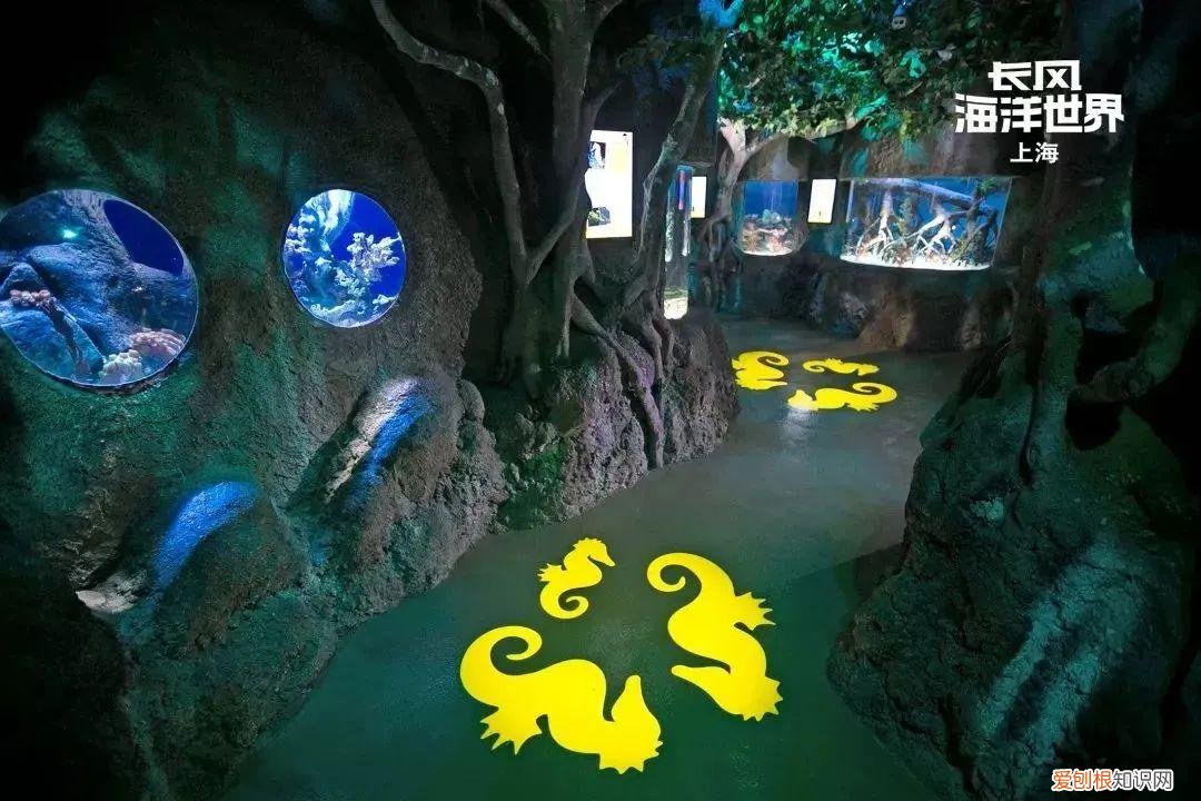锦江乐园门票