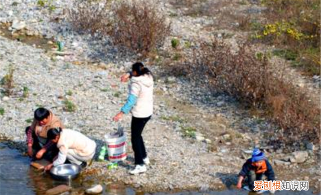 农村俗语:“男怕属鸡,女怕属羊”,是啥意思?