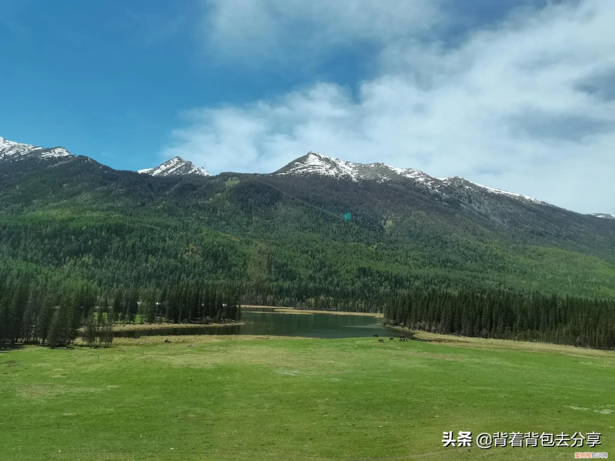 新疆的旅游景点
