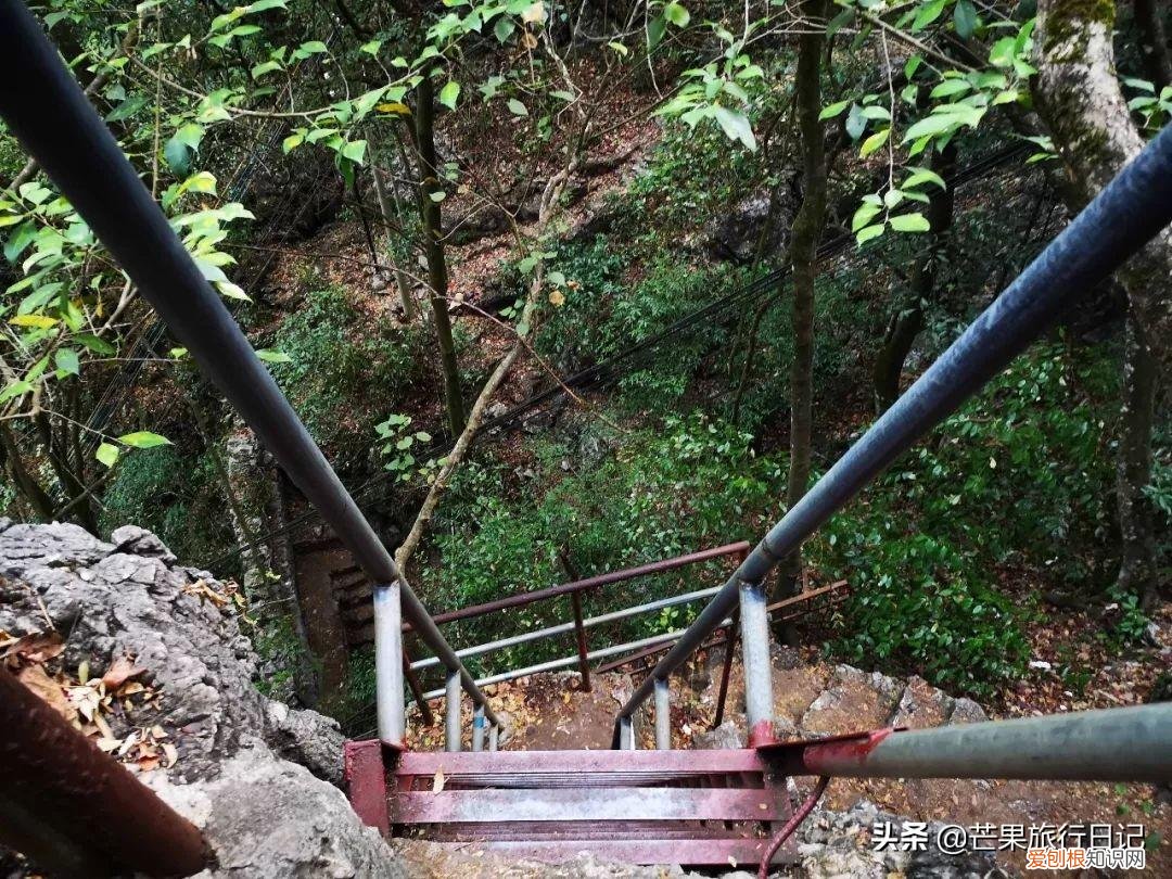 阳朔自助游攻略一日游
