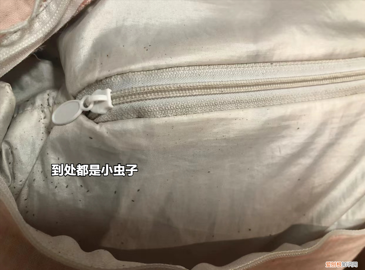 记忆枕头正确使用方法