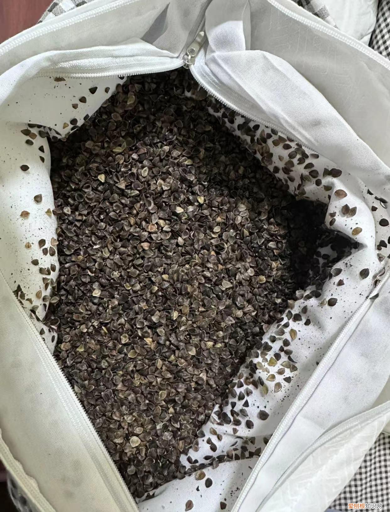 记忆枕头正确使用方法