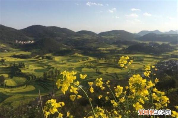 曲靖旅游团哪家好