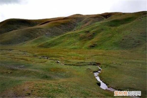 曲靖旅游团哪家好