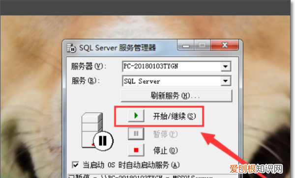 如何启动SQL Server