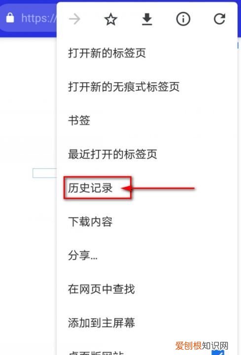 手机如何查浏览记录吗，手机浏览记录该怎么样查