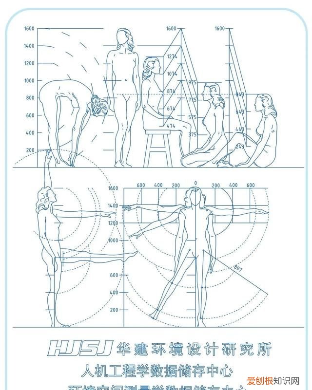 书架尺寸设计