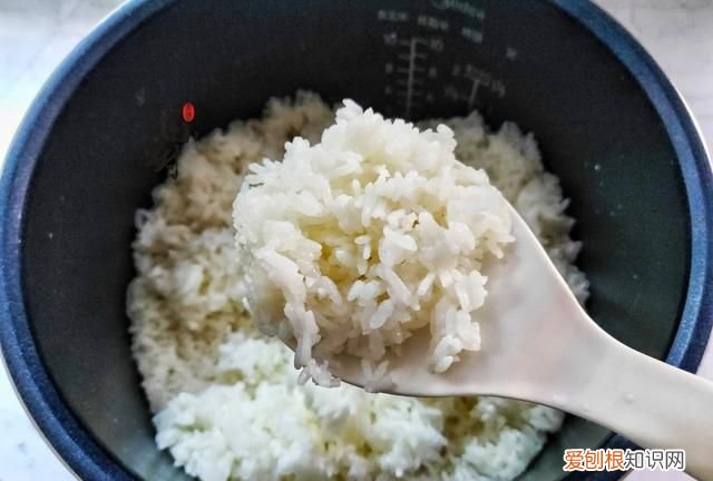 焖米饭需要多久，焖大米饭需要用水泡多久