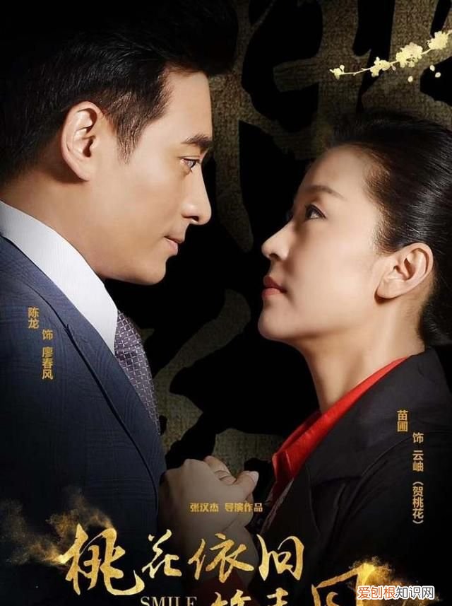 桃花依旧笑春风电视剧豆瓣评分,好剧推荐桃花依旧笑春风