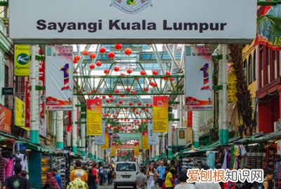 亚裔包括中国人，亚裔非裔是什么意思