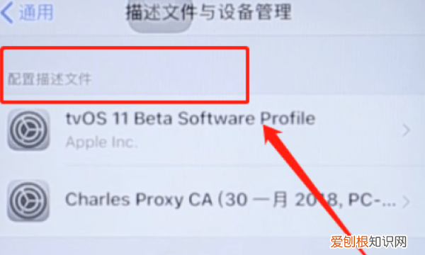 怎么删除描述文件,iphone里面的描述文件怎么删除