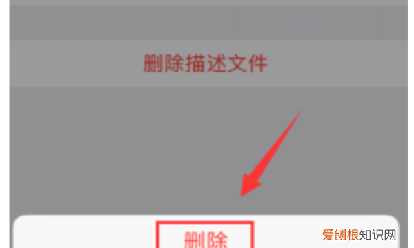 怎么删除描述文件，iphone里面的描述文件怎么删除