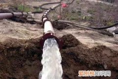 偷水举报有人管吗，偷水自来水公司怎么查