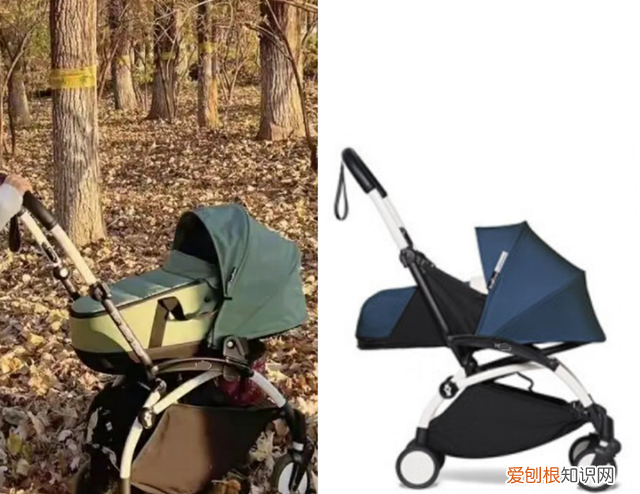 韩庚抱小孩 韩庚捧妻子孕肚二人恩爱出镜