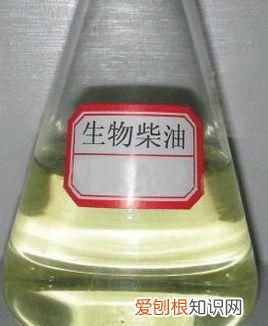 生物油用什么原料生产的