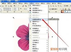 cdr应该如何才可以删除不要的部分