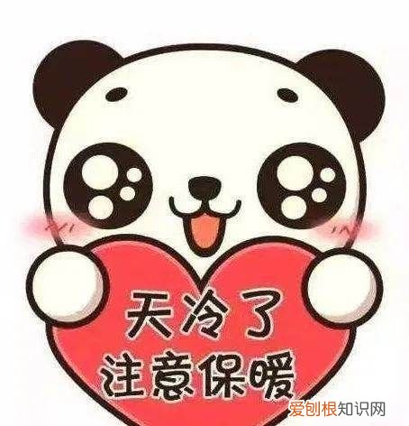 拼好饭退款红包退回吗，美团外卖退款后红包返回