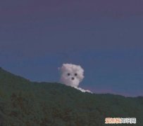 人间风月浅尝即可怎么回应，人间风月浅尝即可什么意思