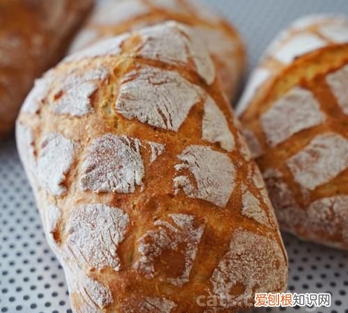 法式面包和普通面包的区别