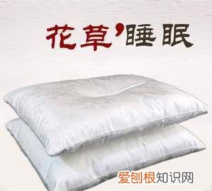 合欢花枕头会长虫吗，茶叶梗和茉莉花填充物的枕头会生虫