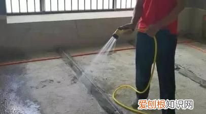 nii是什么档次，矮层房子怎么装修