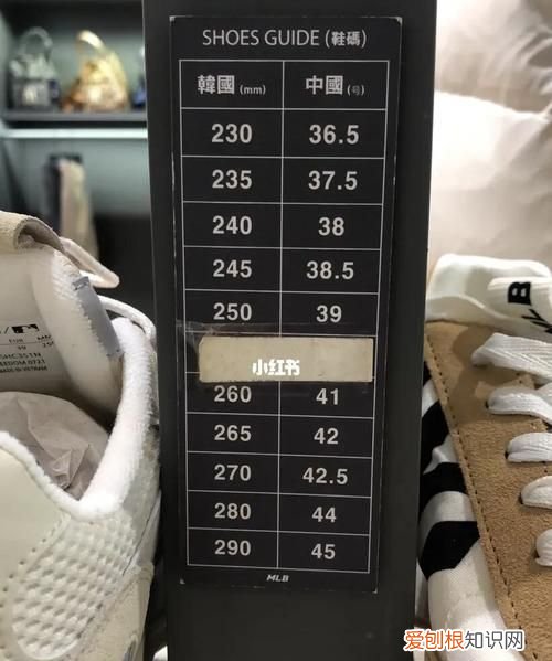 韩国85码是多大,谁知道韩国女装88尺码相当于国内什么尺码