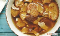 猴头菇的做法及烧汤大全