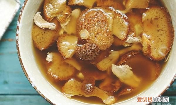 猴头菇的做法及烧汤大全