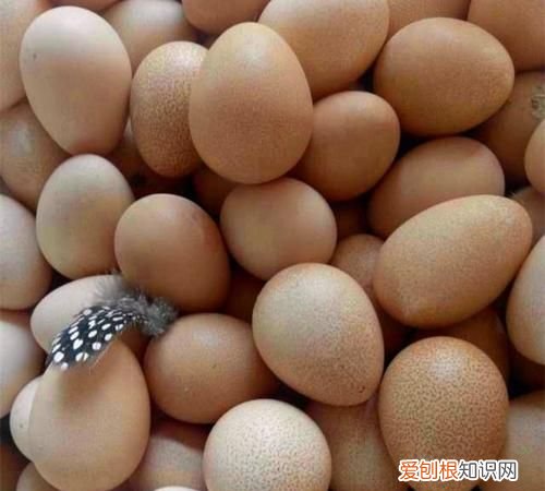 珍珠鸡蛋和普通鸡蛋的区别