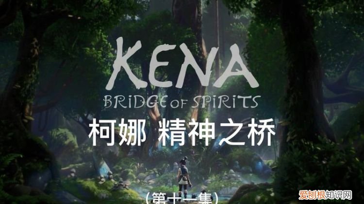 谈歌写的《桥》体裁是什么,精神之桥买普通版还是豪华版