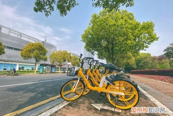 美团自行车多大尺寸，美团自行车是哪个app