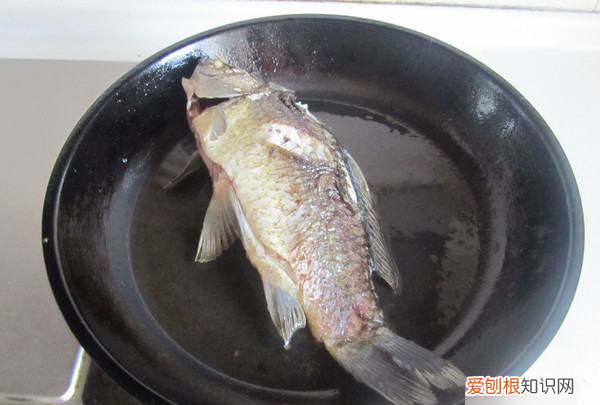 鲫鱼豆腐汤的做法，鲫鱼豆腐汤正宗做法