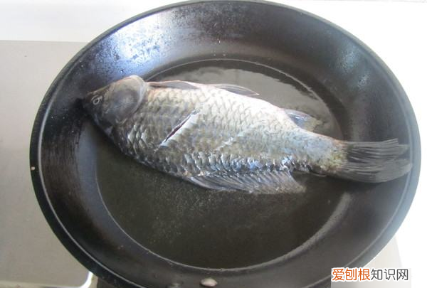 鲫鱼豆腐汤的做法，鲫鱼豆腐汤正宗做法